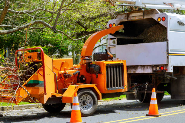 Best Hazardous Tree Removal  in Brookside Village, TX